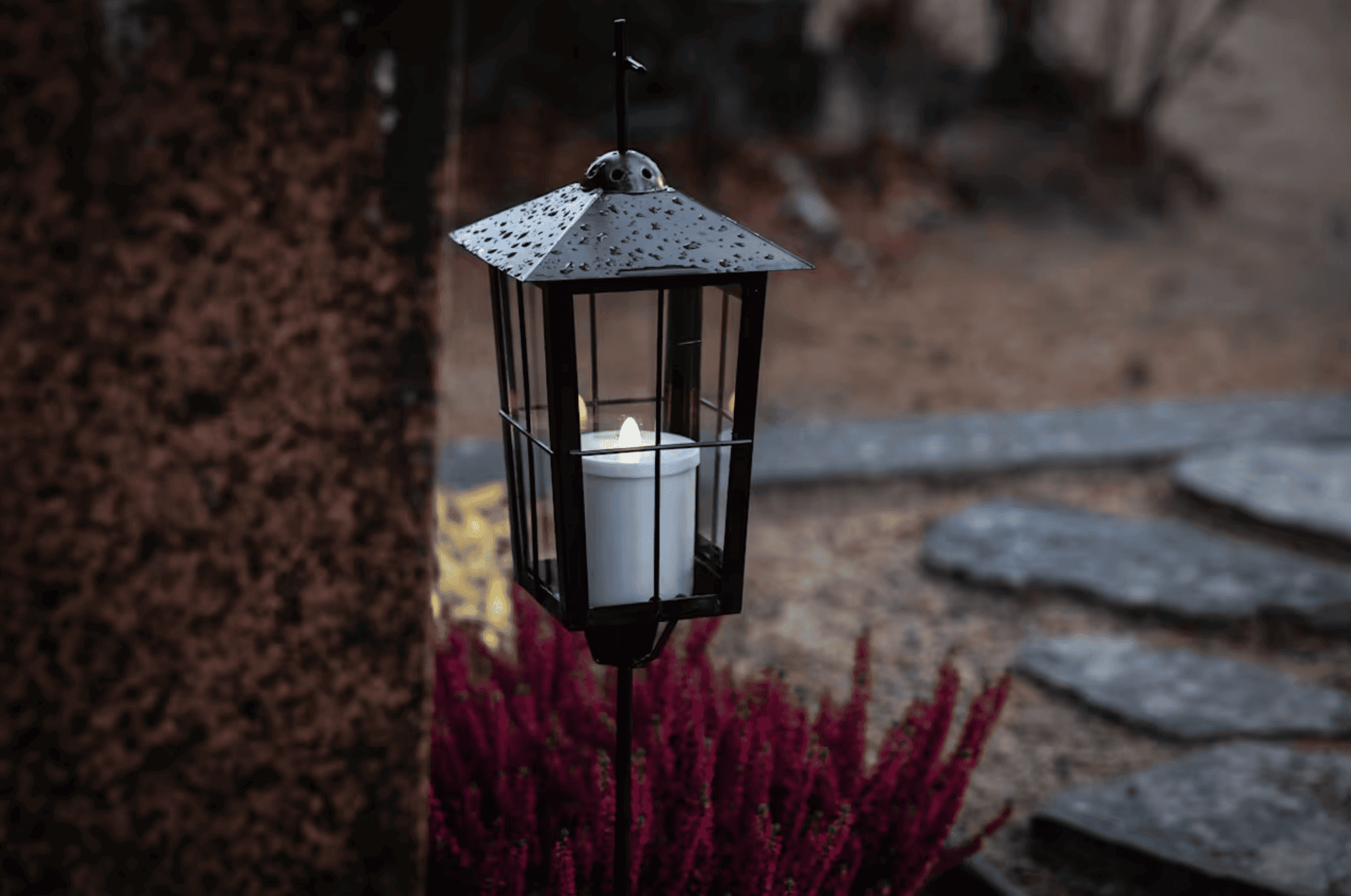 C40 Good Food Cities