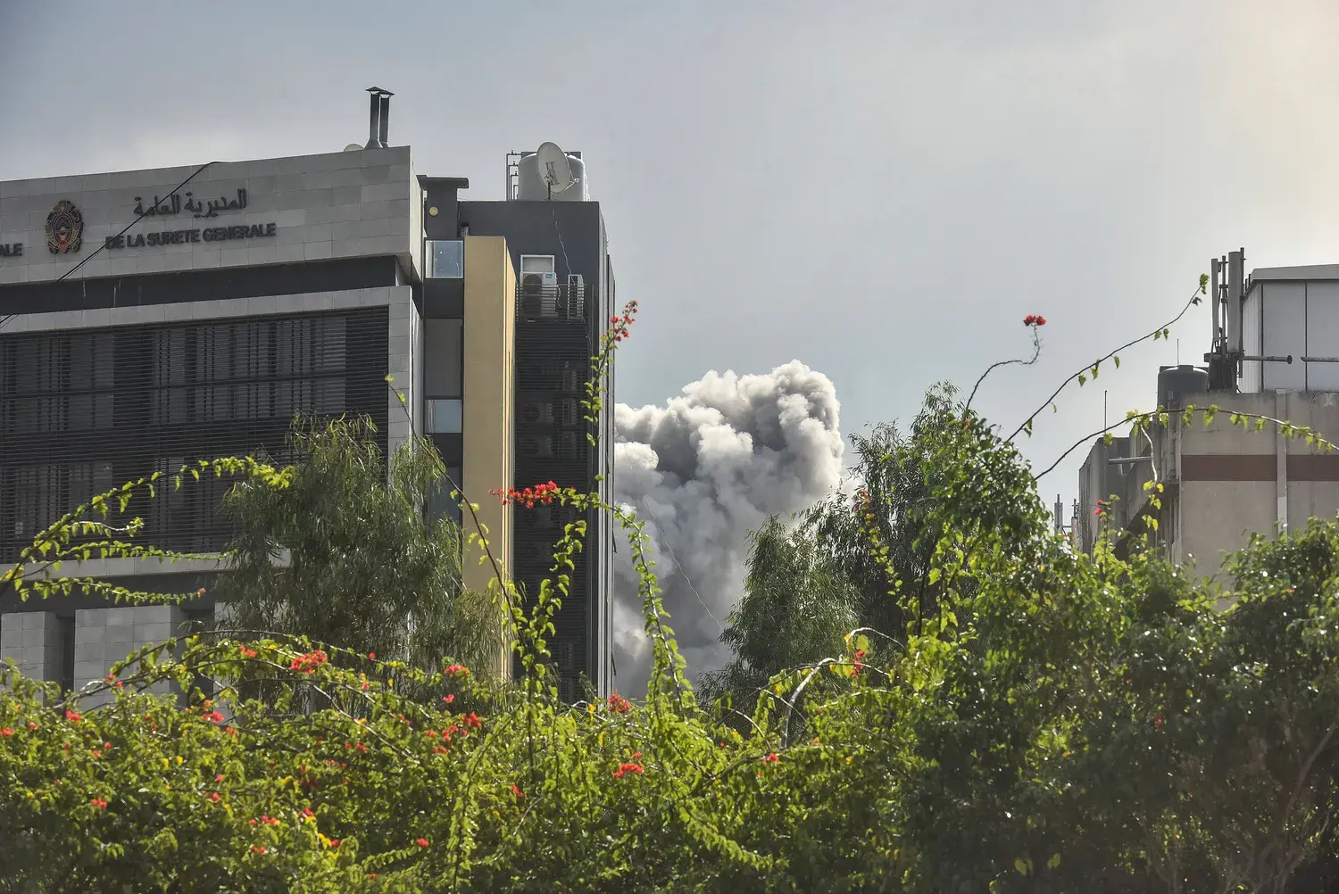 C40 Good Food Cities