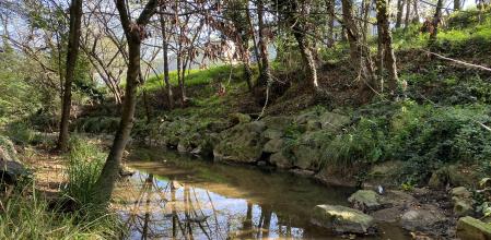 C40 Good Food Cities