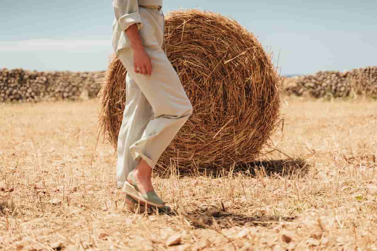 C40 Good Food Cities